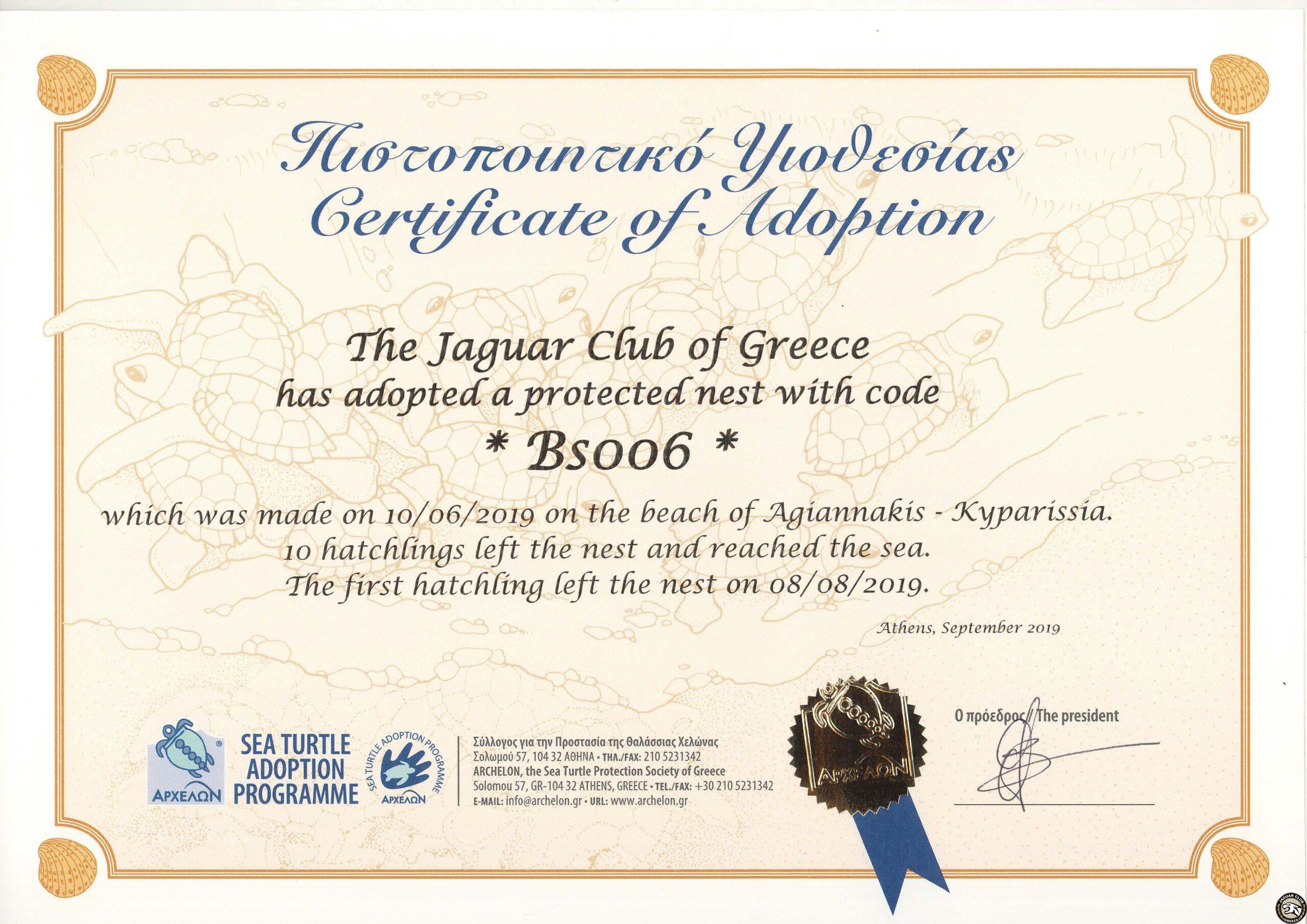 2019 Jaguar Club of Greece turtle hatchlings adoption