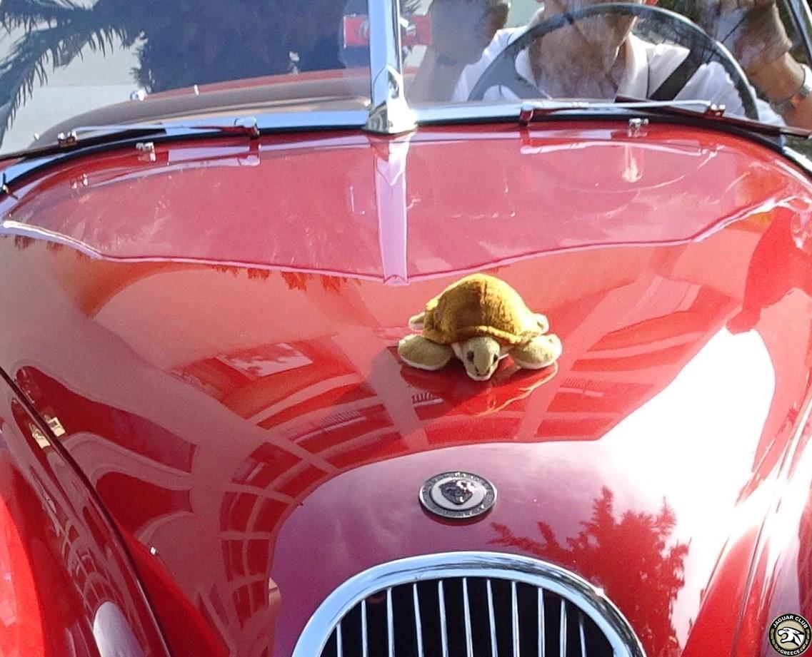 2019 SeaTurle, September 8