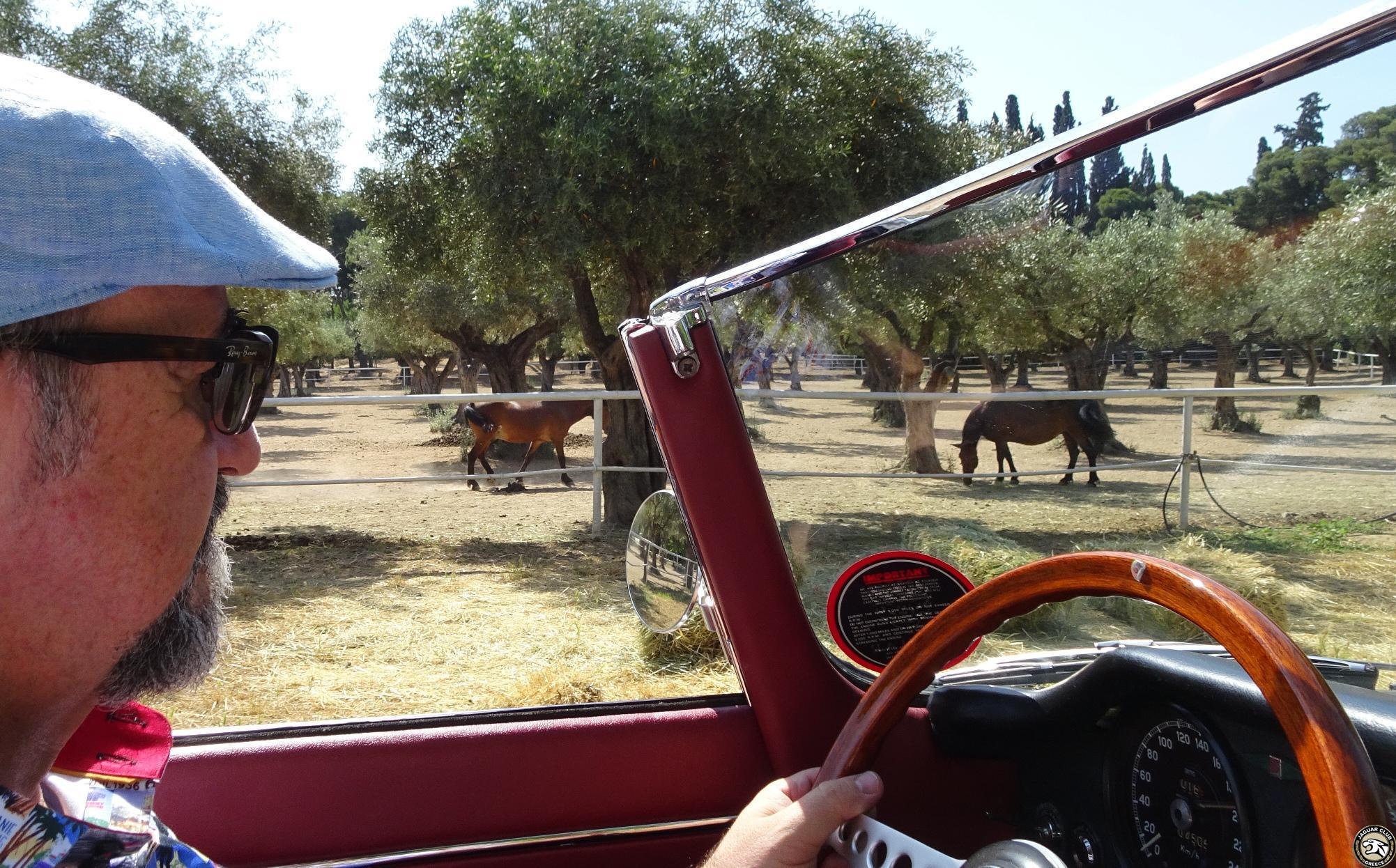 2019 Pyrgho Vassilissis, June 23